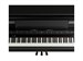 Roland LX-9-CH 9307 - фото 24856
