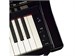 Yamaha CSP-255PE 8735 - фото 25115