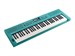 Roland GO:Keys 3 MU 8731 - фото 25278