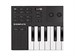 Native Instruments Komplete Kontrol M32 2630 - фото 25487
