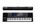 Roland E-A7 1806847240 - фото 25552