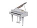Roland GP 6 PW 9302 - фото 25565