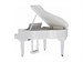 Roland GP 6 PW 9302 - фото 25567
