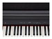Roland RP30 6079 - фото 25572
