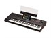 Korg PA5X 61 Oriental 9035 - фото 25981
