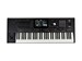 Korg PA5X 61 Oriental 9035 - фото 25982