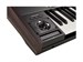 Korg PA5X 61 Oriental 9035 - фото 25984