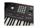 Korg PA5X 61 Oriental 9035 - фото 25988