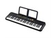 Yamaha PSR-F52 9756 - фото 26290