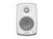 Genelec 4010AW 5950