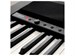 Korg XE20SP 2719