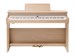 Roland RP701