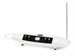 Moog Theremini 4220