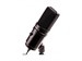 Zoom ZUM-2 PMP