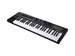 Nektar Impact LX49 mk3 MIDI-