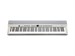 Kurzweil KA P1 LB