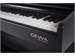 Gewa DP 300 Black