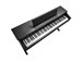 Kurzweil Cup E1 BK