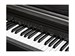 Kurzweil Cup E1 BK