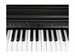 Kurzweil Cup E1 BK