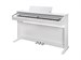 Kurzweil Cup E1 BK