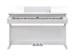Kurzweil Cup E1 BK