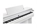 Kurzweil Cup E1 BK