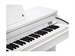 Kurzweil Cup E1 BK