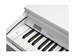 Kurzweil Cup E1 BK