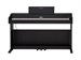 Rockdale Etude 256 BK