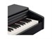 Rockdale Etude 256 BK