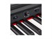 Rockdale Etude 256 BK