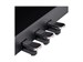Rockdale Etude 256 BK