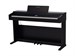 Rockdale Etude 256 BK
