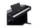 Rockdale Etude 256 BK