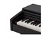 Rockdale Etude 256 BK