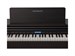 Rockdale Etude 256 BK