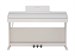 Rockdale Etude 256 BK