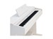 Rockdale Etude 256 BK