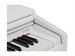 Rockdale Etude 256 BK