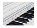 Rockdale Etude 256 BK