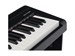 Rockdale NOCTURNE S 256 BK
