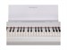 Rockdale NOCTURNE S 256 BK