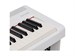 Rockdale NOCTURNE S 256 BK