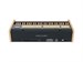 Viscount Cantorum DUO Plus-W