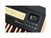Viscount Cantorum DUO Plus-W