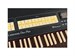 Viscount Cantorum DUO Plus-W