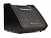 Roland PM-100