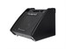 Roland PM-100