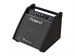Roland PM-100